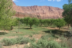 20150408_152613