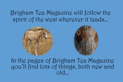 BT Presentation1 (2)_Page_2