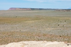 20170729_120837_1517599468830