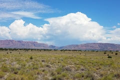20170729_124944_1517599209444