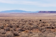 20180201_110933_1517598874147