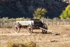 WagonS