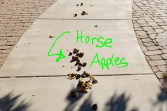 Horse Apples2