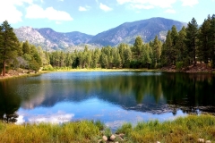 Pine Valley 17