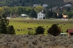 Pine Valley 26