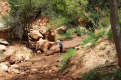 End of the trail at the canyon