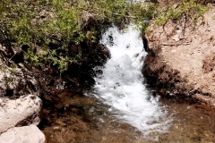 Spring pond