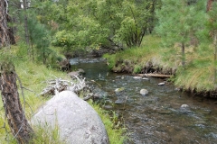 Pine Valley 14