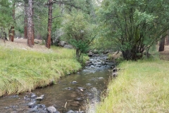 Pine Valley 15