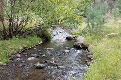 Pine Valley 16