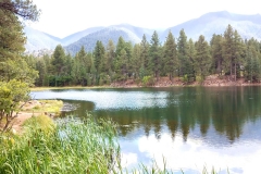 Pine Valley 20