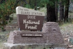 Pine Valley 9