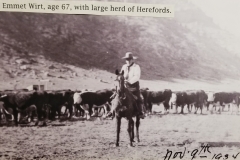 Taming the Wild West 11