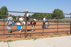Fair 5