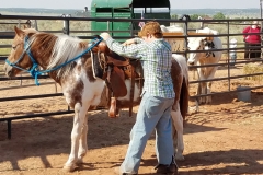 Fair 7