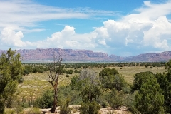 The Ridge 10