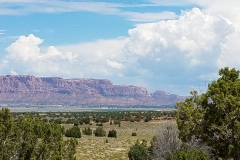 The Ridge 15