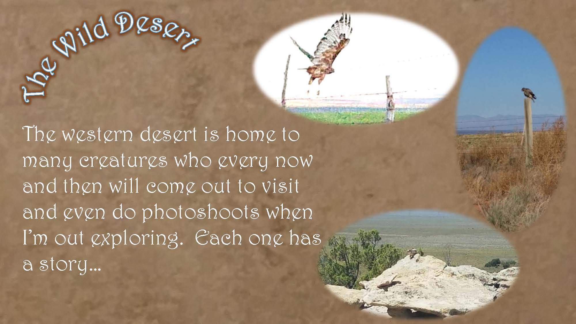 Wild Desert Slideshow_Page_3