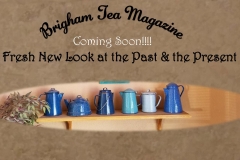 Wild Desert Slideshow_Page_1