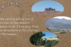Wild Desert Slideshow_Page_2