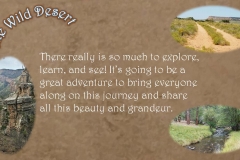 Wild Desert Slideshow_Page_5